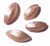 Perle Nacrée forme coquillage ovale bombé 25mm ROSE  Unité