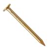 Clous doré en acier 1,9mm x 25mm / 10 clous - Prix dégressif
